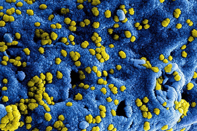 coronavirus-header-image