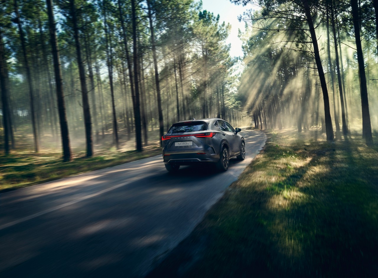 A Lexus NX 450h+ driving on a country road beside a forest.