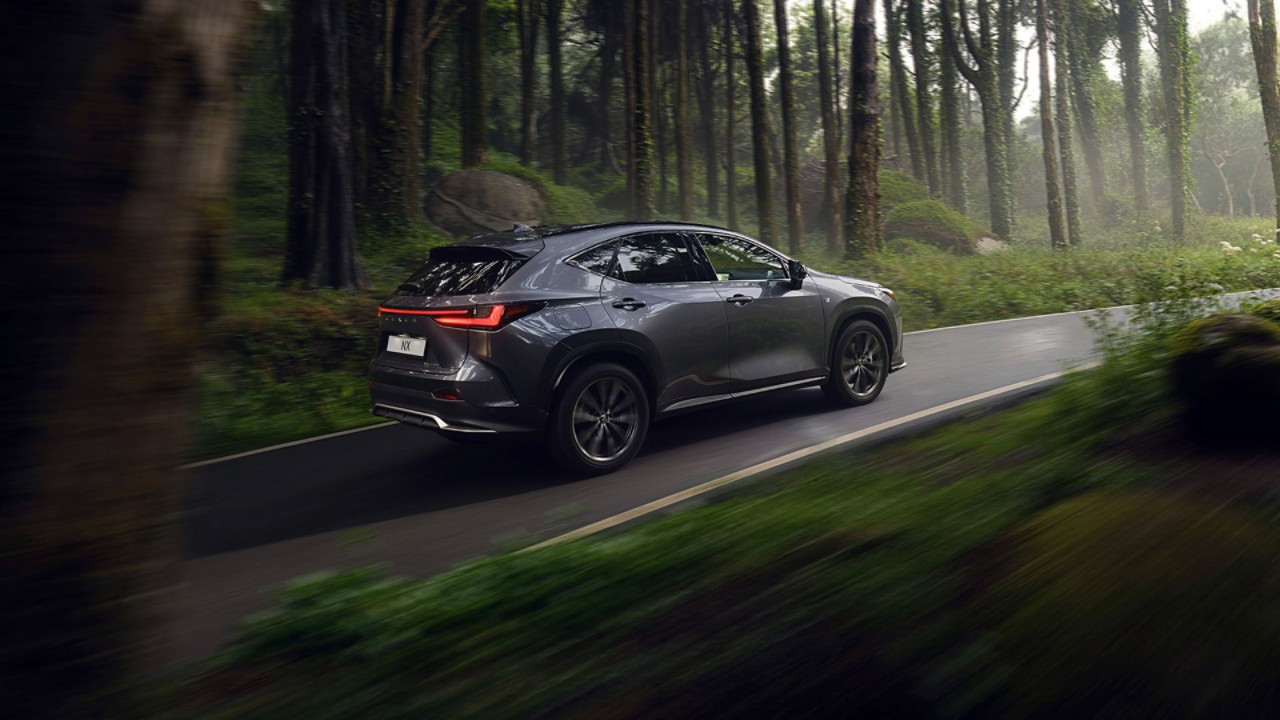 A Lexus NX driving through a woodland